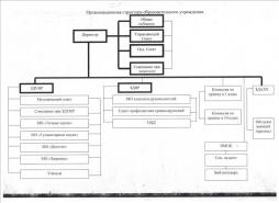 Организационная структура образовательного учреждения
